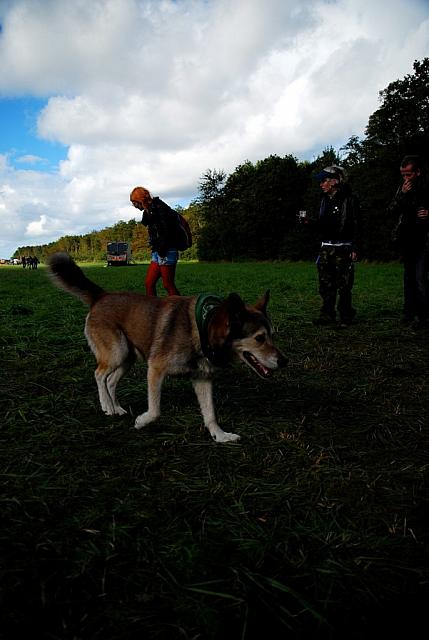 DSC 0306