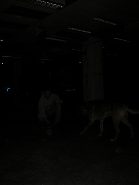 PICT0007