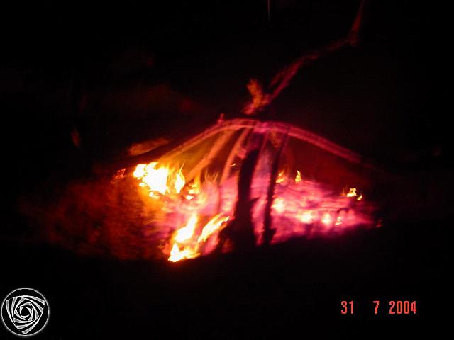 DSC07066
