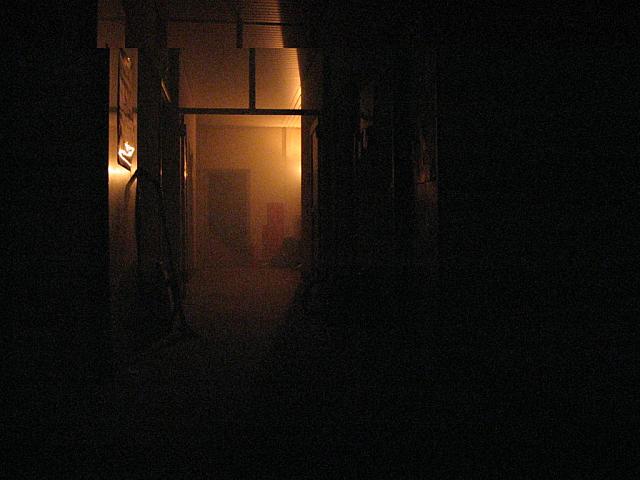 IMG 0712