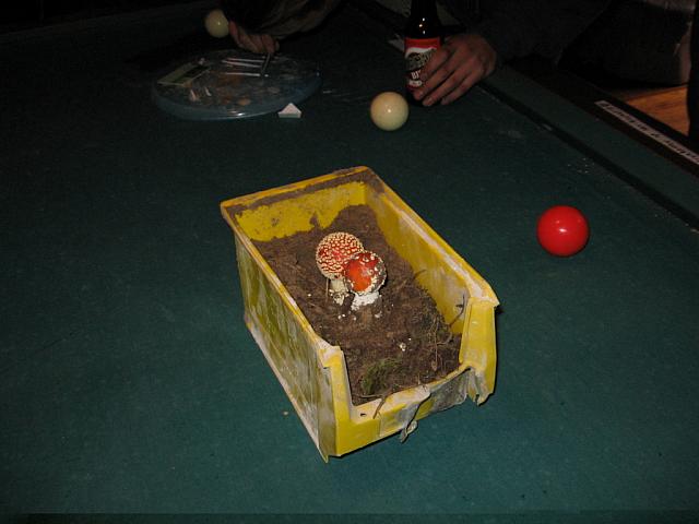 IMG 0784