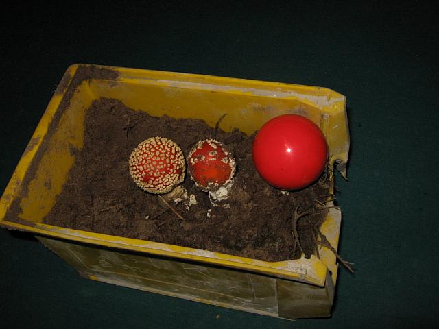 IMG 0789