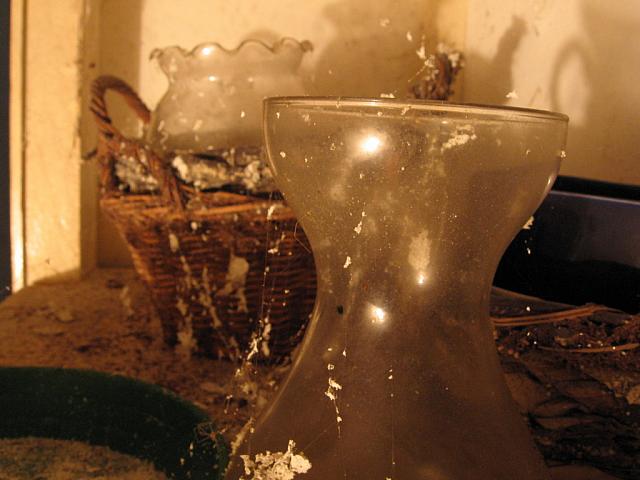 IMG 0800