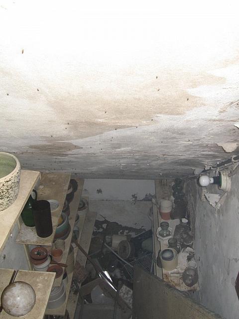 Img 0797