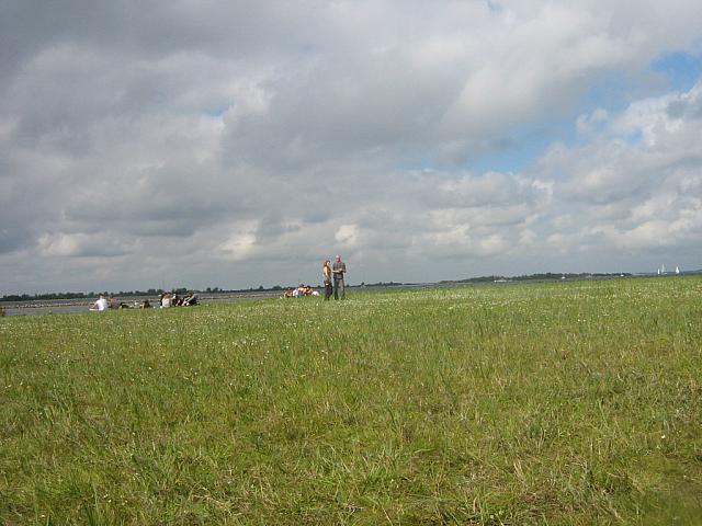 IMG 0094