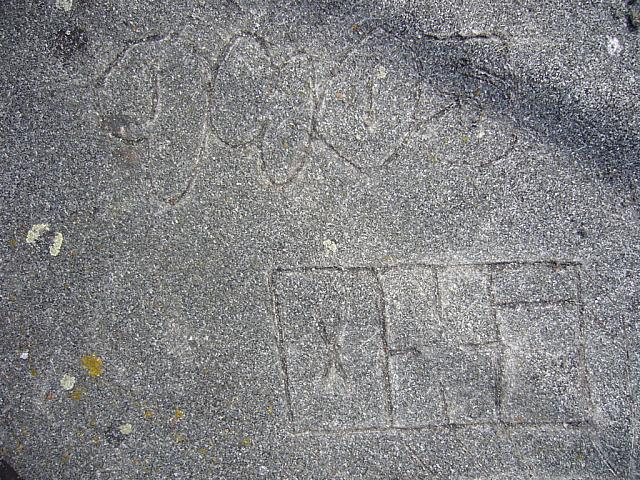P1000446