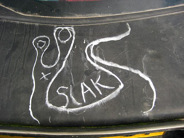 IMG 3744