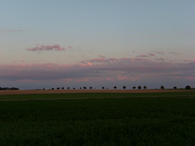 SL742341