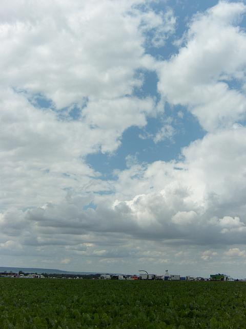 SL742531