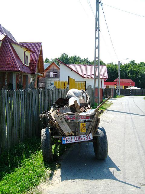 IMG 2636
