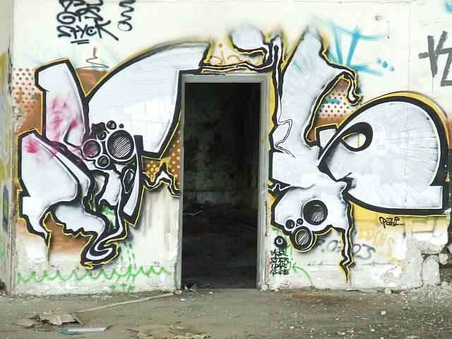 DSCF6018