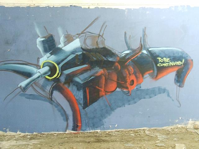DSCF6036