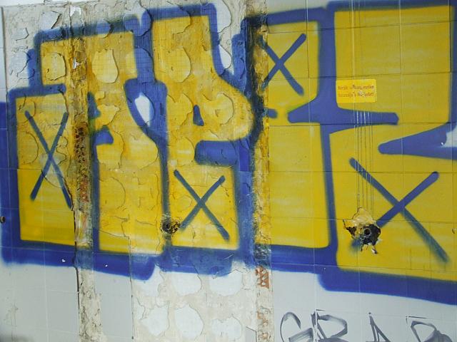 DSCF6064