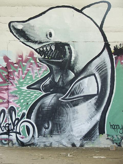 DSCF6077