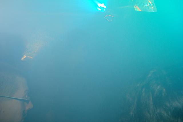 DSC02787