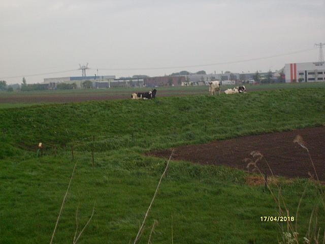 S7300524