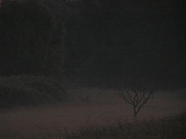 102