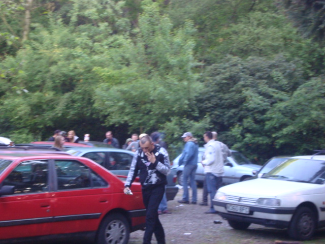 DSC01006