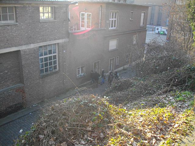 IMGP0132