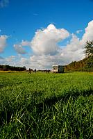 DSC 0250