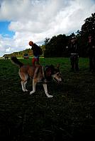 DSC 0306