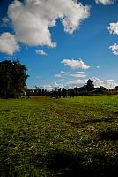 DSC 0308