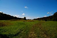 DSC 0374