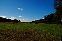 DSC 0379