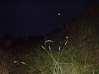 dscf0779