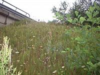 dscf0816
