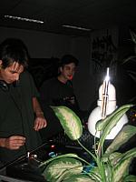 PICT0009 001