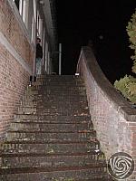 P3140042