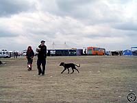 Paristek Oxi151