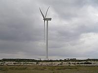 Oxi Maasvlakte20