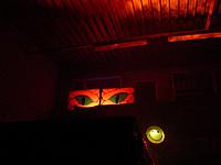 album668