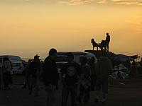 IMG 0124