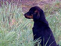 29042007150 G