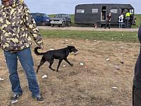 050507 Rilland 2462