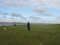 IMG 0011