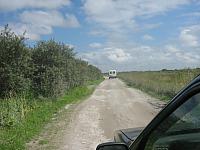 IMG 0103