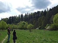 DSCF0587
