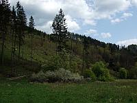 DSCF0591