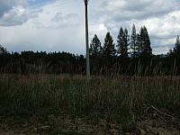 DSCF0601