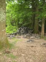 IMG 3906