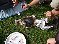 forumpicknick