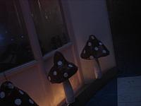 IMG 1484