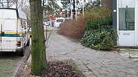 Afbeelding 003