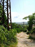 IMG 2441