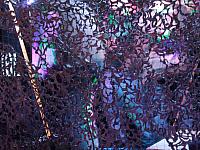 DSCF9673