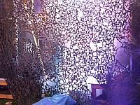 DSCF9674